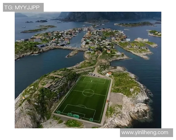 七人足球明星的传奇故事与他们在绿茵场上的辉煌瞬间