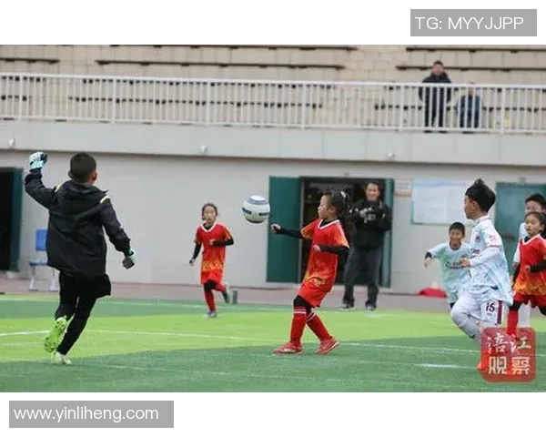 在绿茵场上相遇的瞬间足球连接心灵与梦想的旅程