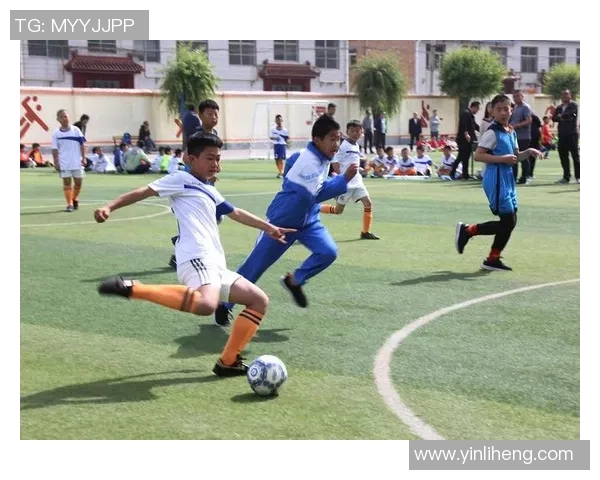 深入探讨埃及足球各级别联赛的结构与发展现状