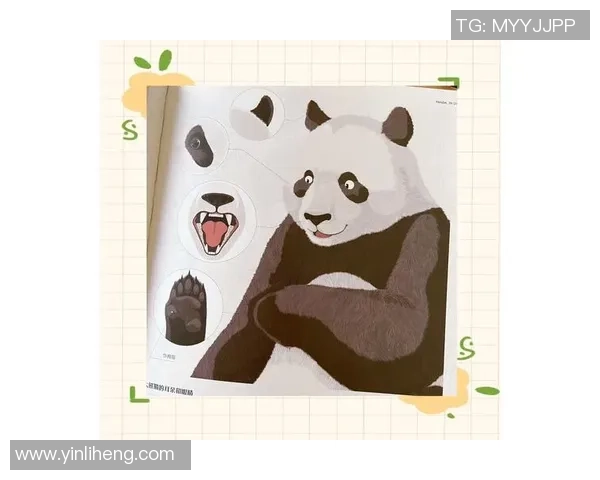 熊猫爱足球：探索熊猫与足球的奇妙结合与互动乐趣